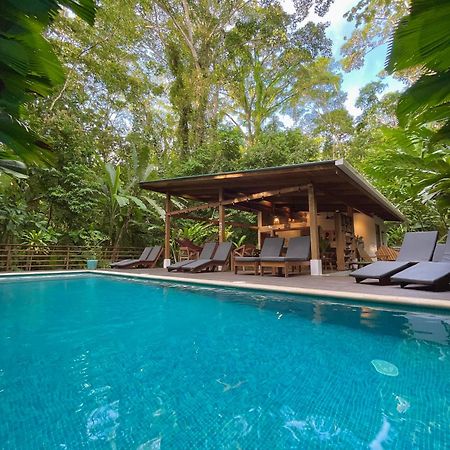 Satta Lodge (Adults Only) Puerto Viejo de Talamanca Екстериор снимка