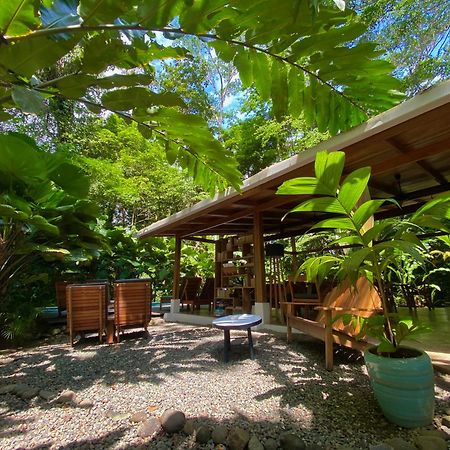 Satta Lodge (Adults Only) Puerto Viejo de Talamanca Екстериор снимка