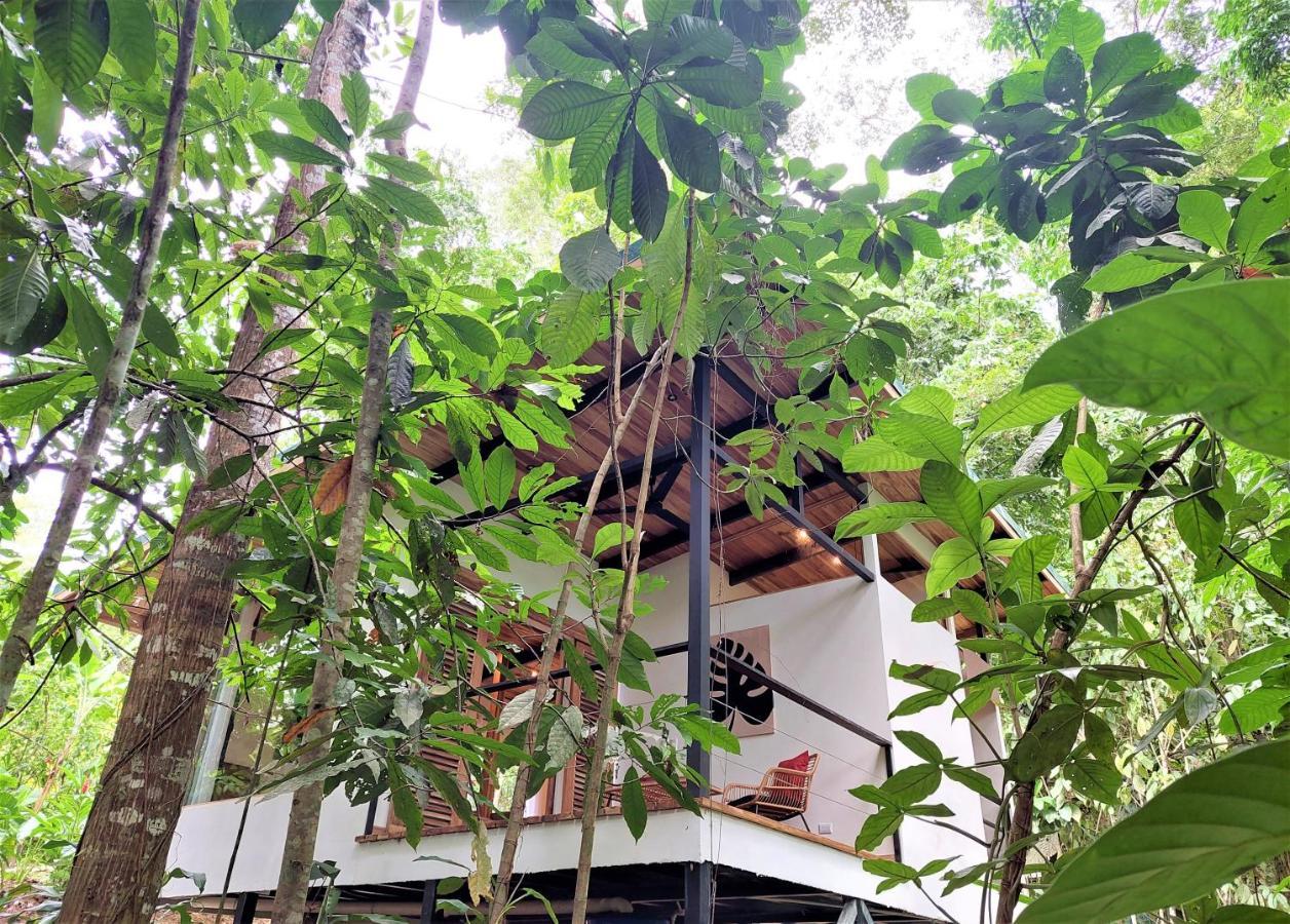 Satta Lodge (Adults Only) Puerto Viejo de Talamanca Екстериор снимка