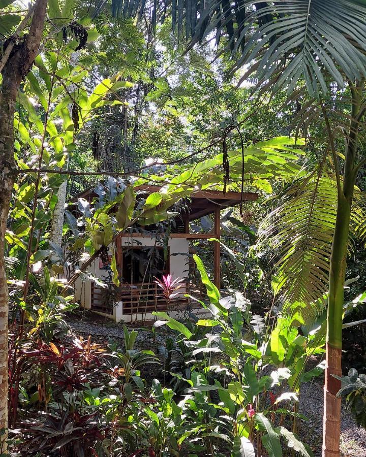 Satta Lodge (Adults Only) Puerto Viejo de Talamanca Екстериор снимка