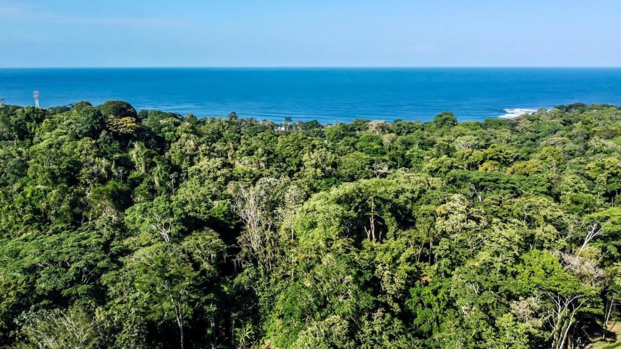 Satta Lodge (Adults Only) Puerto Viejo de Talamanca Екстериор снимка