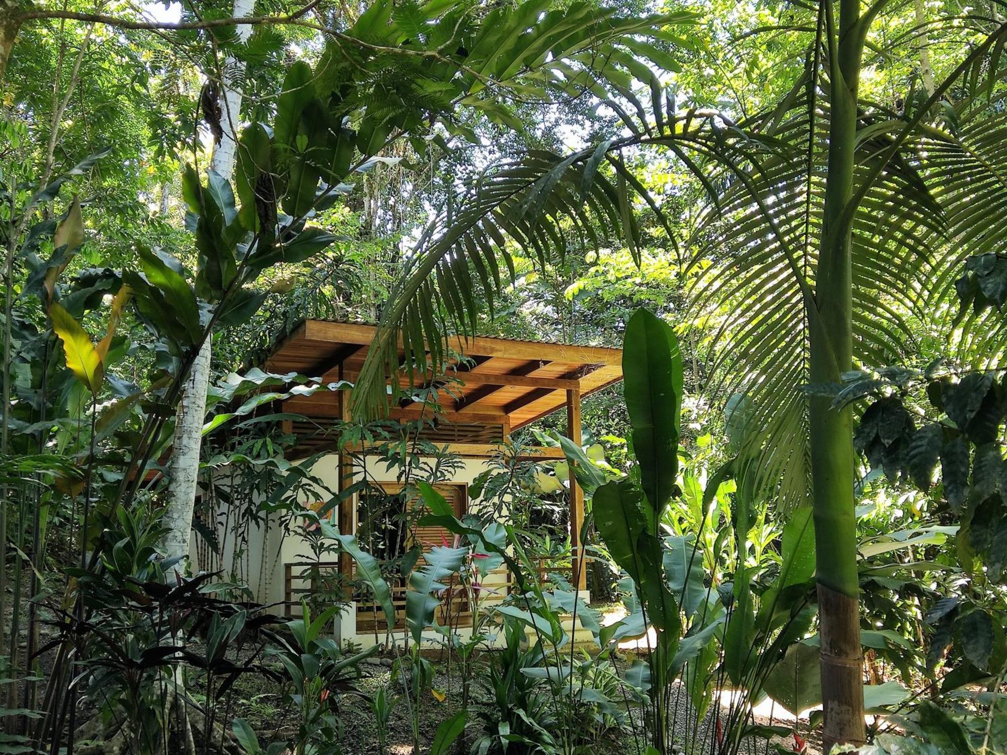 Satta Lodge (Adults Only) Puerto Viejo de Talamanca Стая снимка
