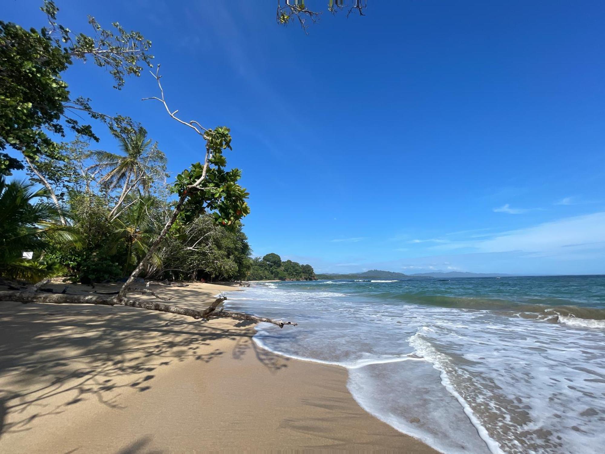 Satta Lodge (Adults Only) Puerto Viejo de Talamanca Екстериор снимка