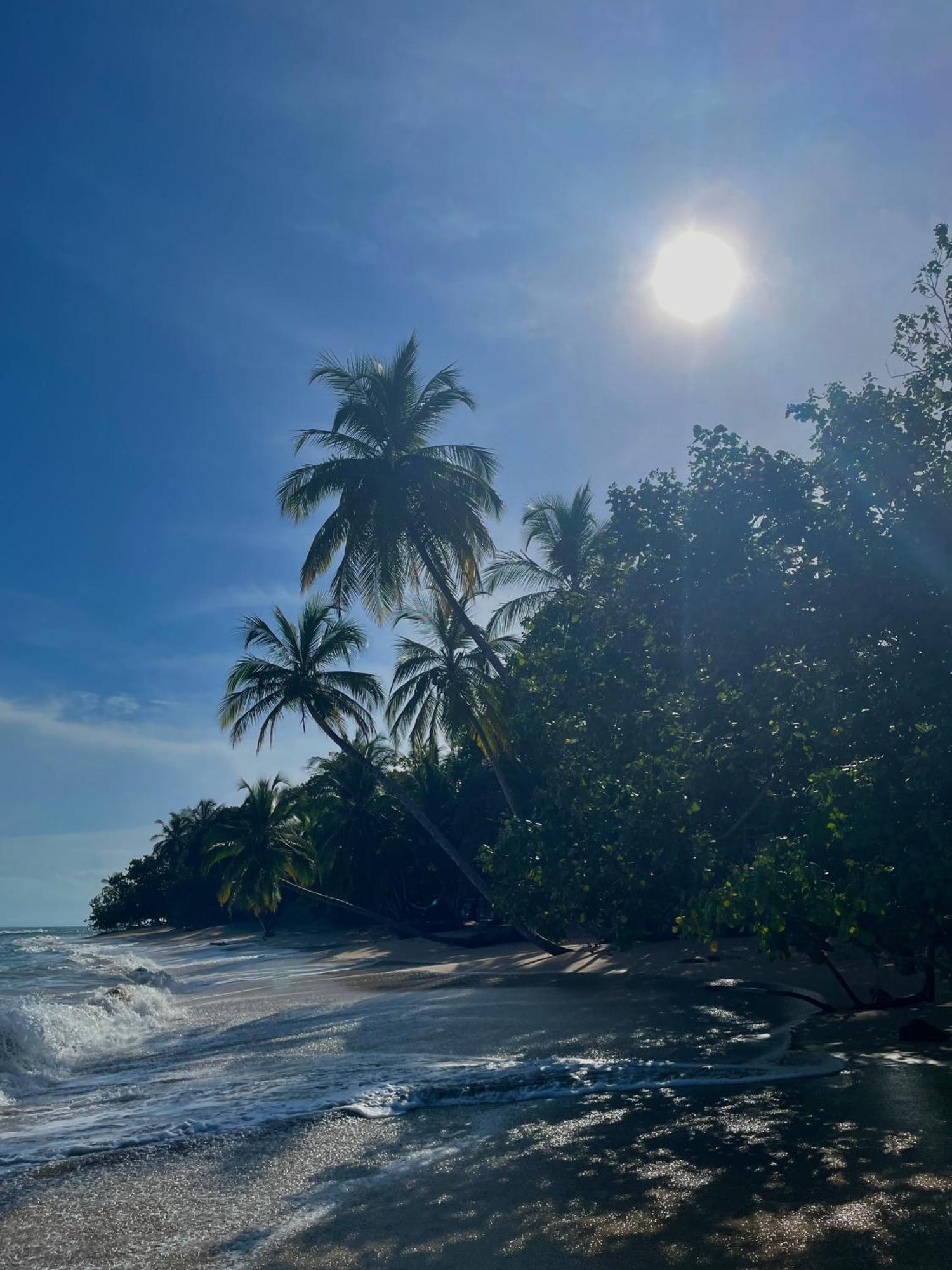 Satta Lodge (Adults Only) Puerto Viejo de Talamanca Екстериор снимка