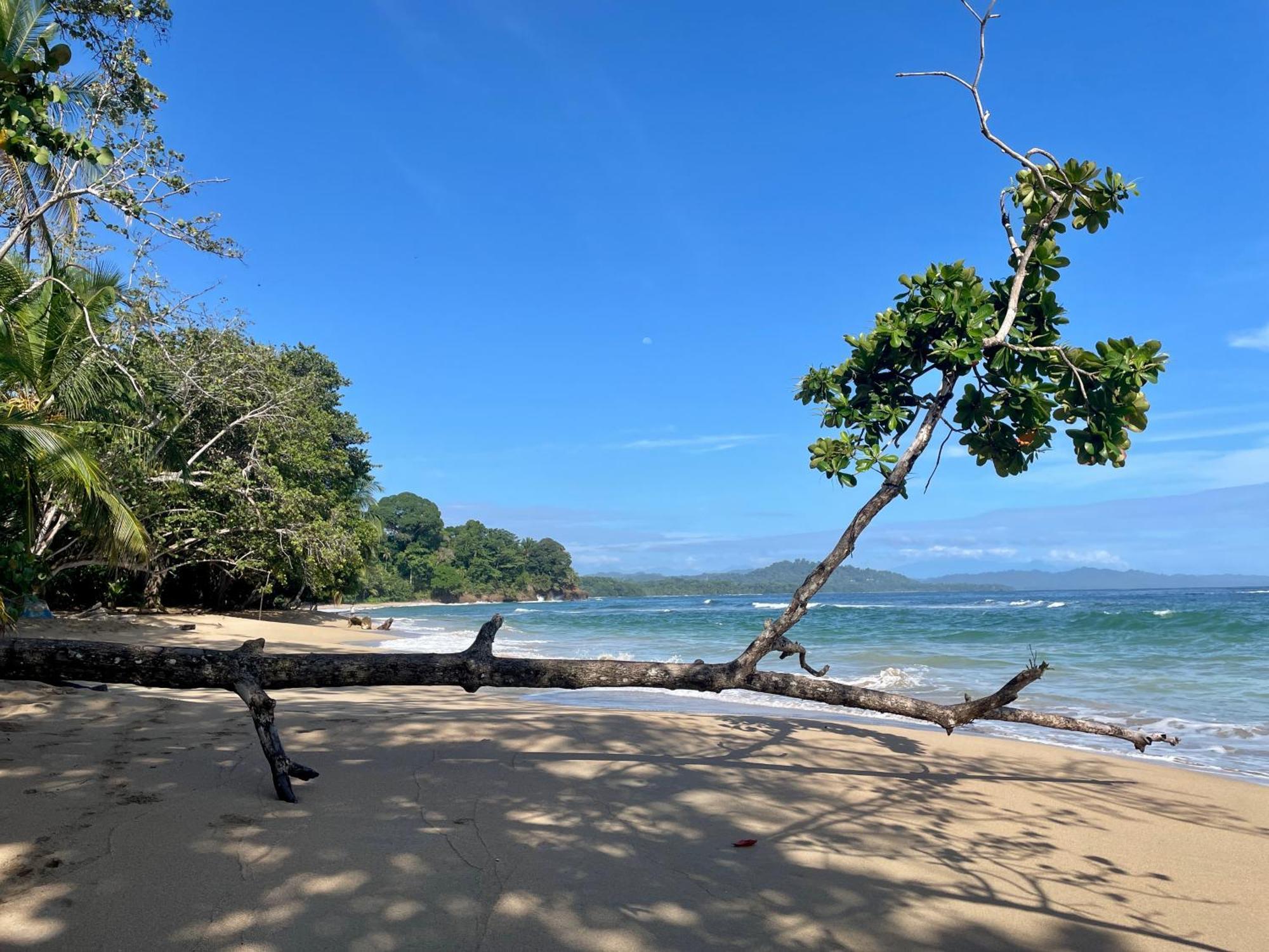 Satta Lodge (Adults Only) Puerto Viejo de Talamanca Екстериор снимка