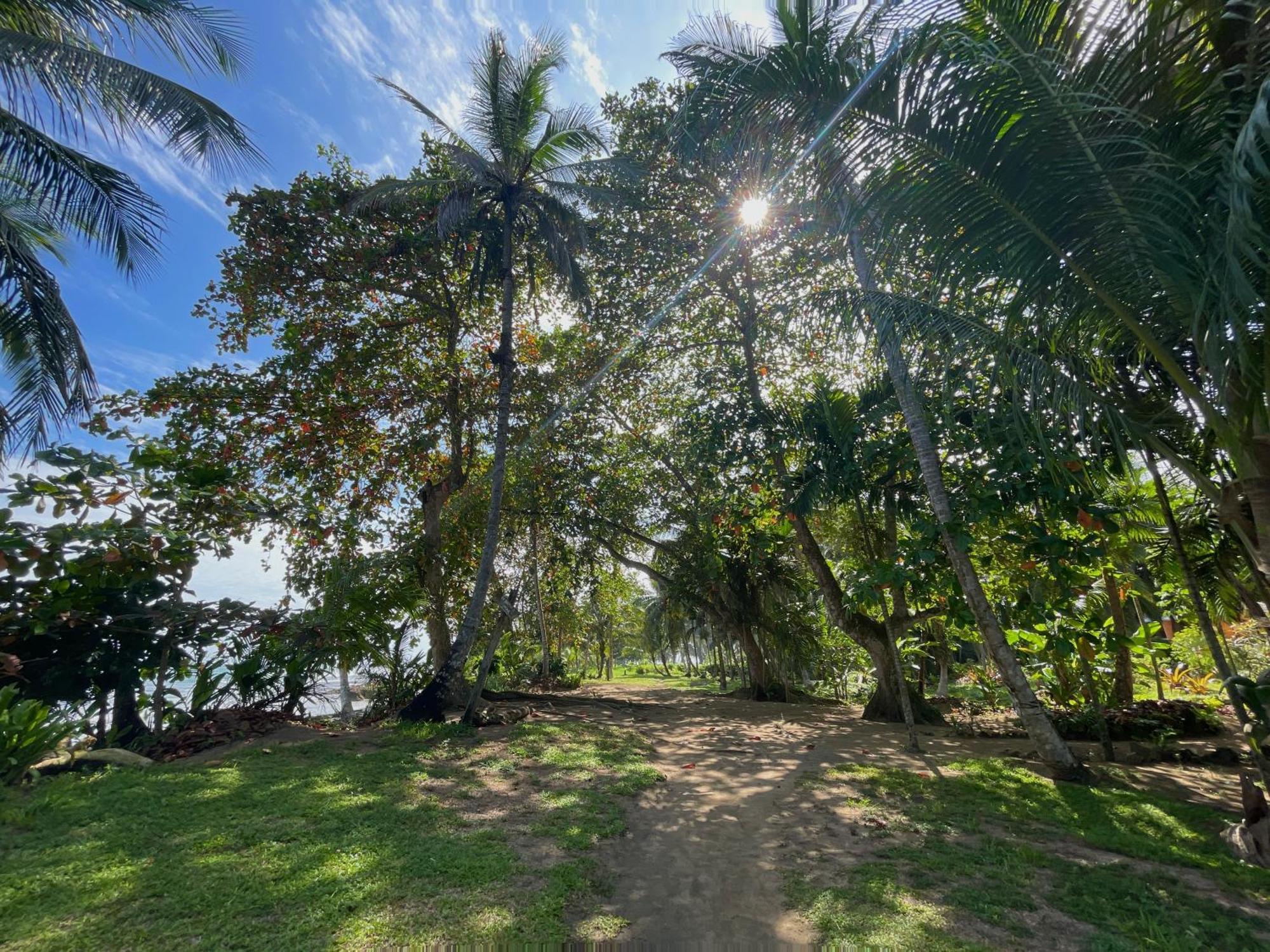 Satta Lodge (Adults Only) Puerto Viejo de Talamanca Екстериор снимка