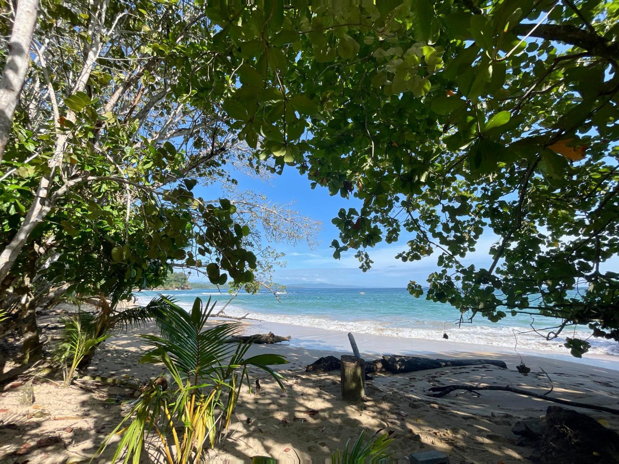 Satta Lodge (Adults Only) Puerto Viejo de Talamanca Екстериор снимка