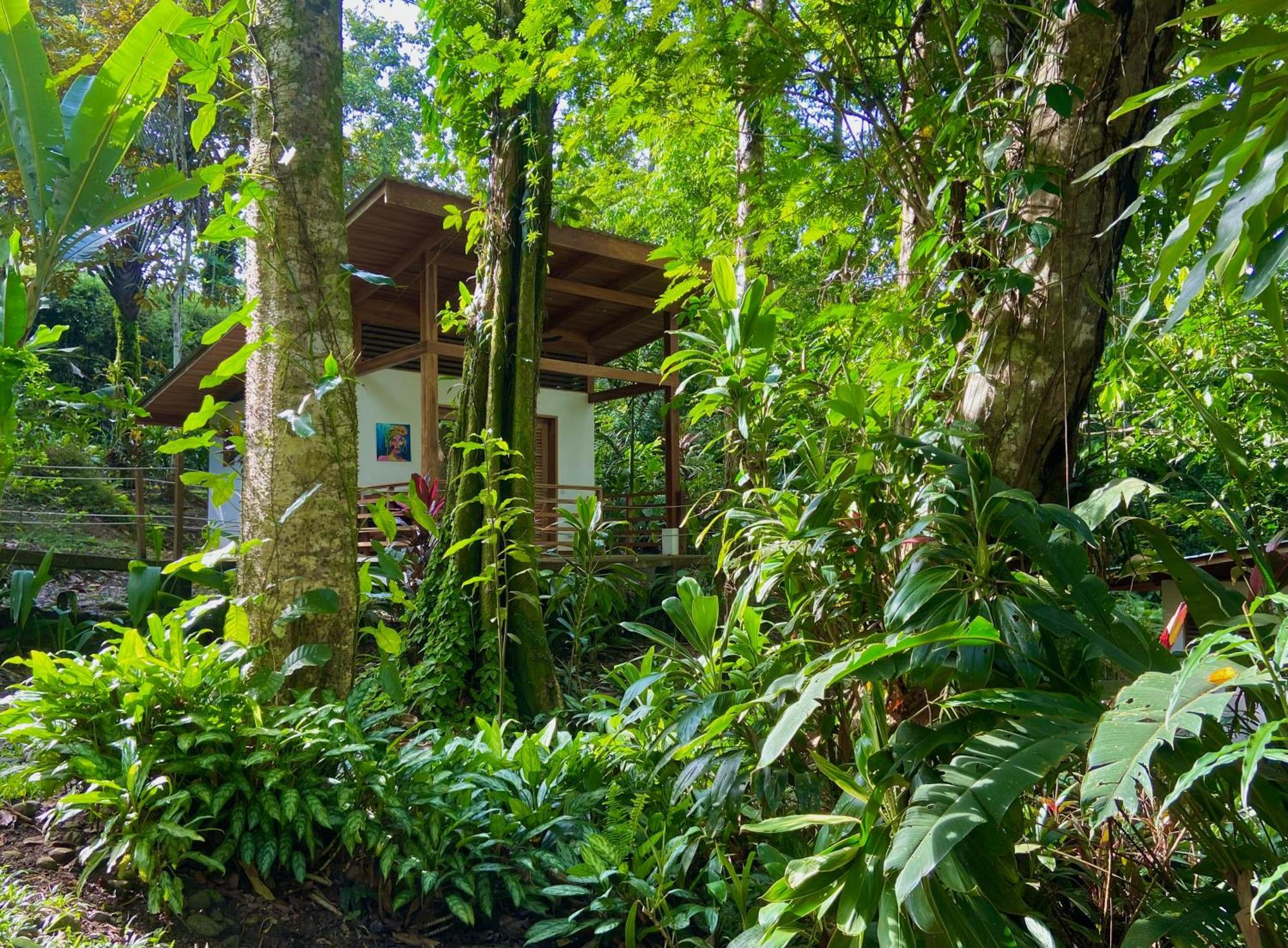 Satta Lodge (Adults Only) Puerto Viejo de Talamanca Екстериор снимка