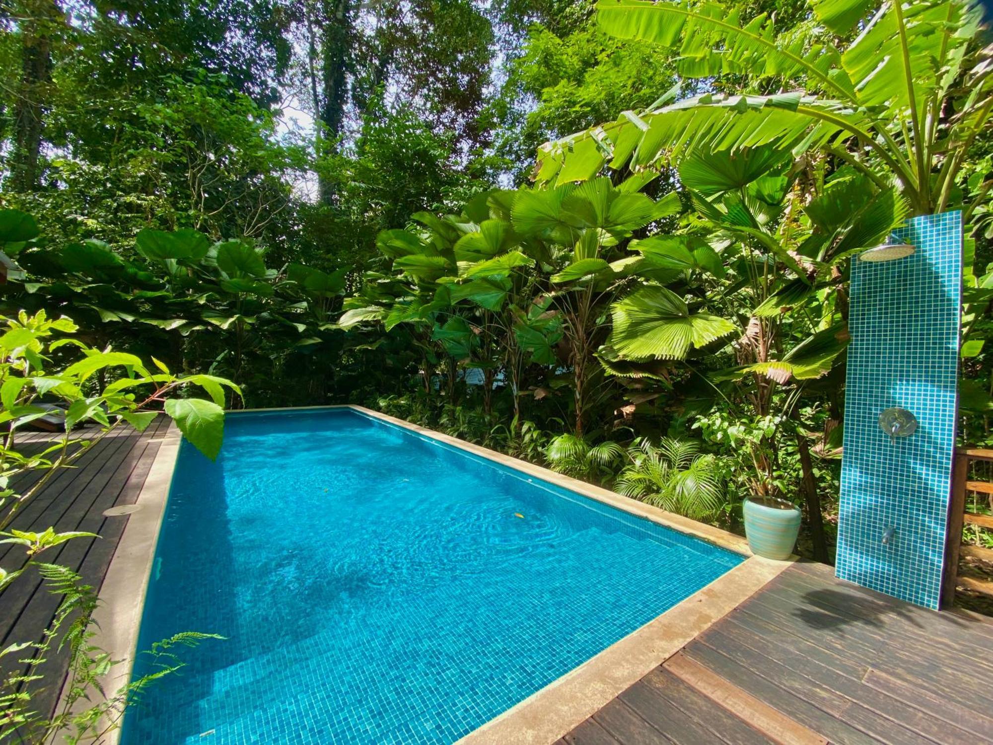 Satta Lodge (Adults Only) Puerto Viejo de Talamanca Екстериор снимка